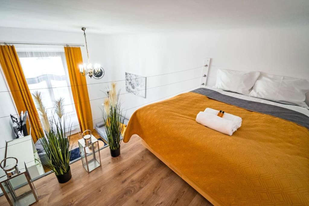 Royal City Apartment 40 M2 克拉科夫 外观 照片