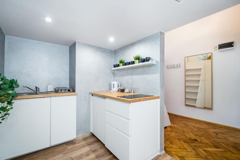Royal City Apartment 40 M2 克拉科夫 外观 照片