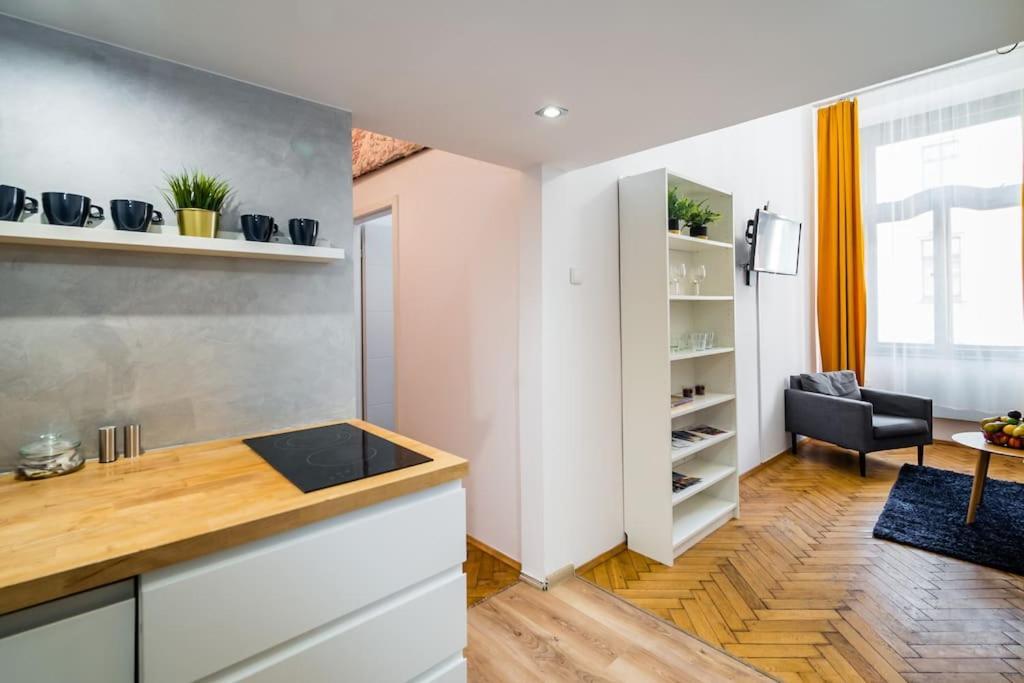 Royal City Apartment 40 M2 克拉科夫 外观 照片